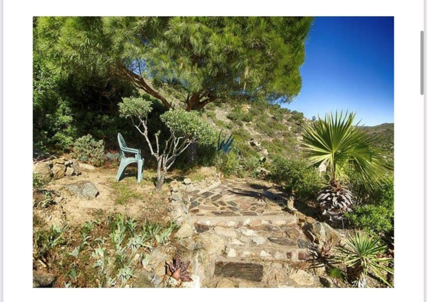 Almadrava Dream: Costa Brava Appartement