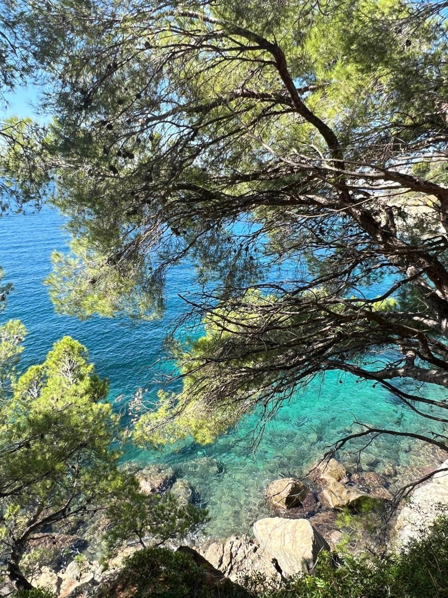 Almadrava Dream: Costa Brava Appartement Roses